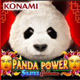Panda Power Solstice Celebration