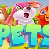 Pets