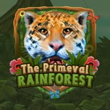 Primeval Rainforest