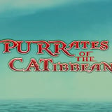 Purrates of the Catibbean