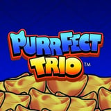 Purrfect Trio