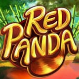 Red Panda