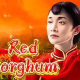 Red Sorghum
