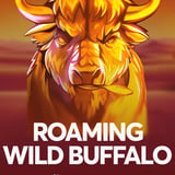 Roaming Wild buffalo