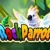 Rock Parrot