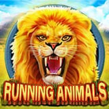 Running Animals