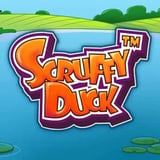Scruffy Duck