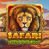Safari Discovery