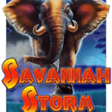 Savannah Storm