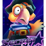 Secret Stars