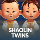 Shaolin Twins