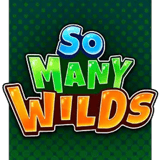 So Many Wilds