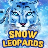 Snow Leopards