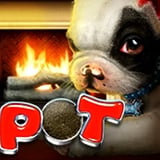 Spot