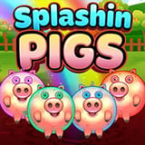 Splashin Pigs