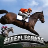Steeplechase
