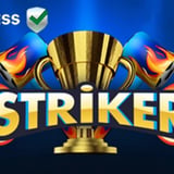 Striker