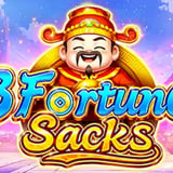 3 Fortune Sacks