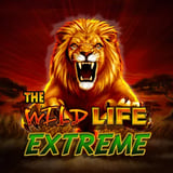 The Wild Life™ EXTREME High Limit