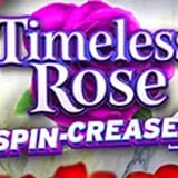 Timeless Rose