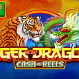 Tiger and Dragon  Cash on Reels BB