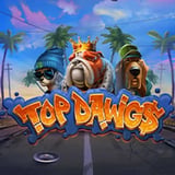 Top Dawgs