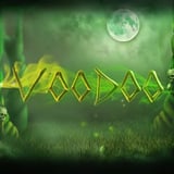 Voodoo