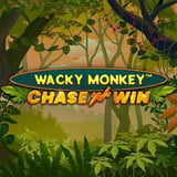 Wacky Monkey™ Chase'N'Win