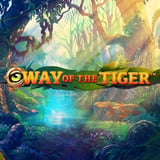 Way Of The Tiger