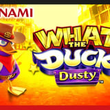 What the Duck Dusty