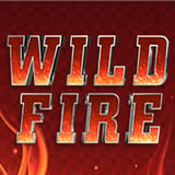 Wildfire