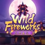 Wild Fireworks