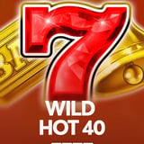 Wild Hot 40