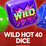 Wild Hot 40 Dice