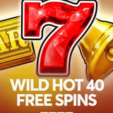 Wild Hot 40 Free Spins