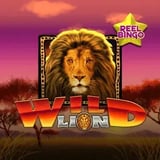 Wild Lion + Reel Bingo