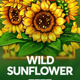 Wild Sunflower