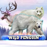 Wild Penguin™