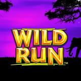 Wild Run