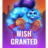 Wish Granted™