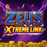 Zeus Xtreme Link