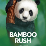 Bamboo Rush