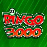Bingo 3000