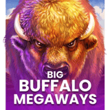 Big Buffalo Megaways