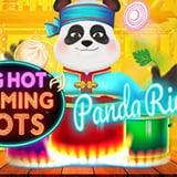 Big Hot Flamin Pots Panda Riches