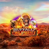 Buffalo on Fire!