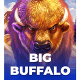 Buffalo Lightning