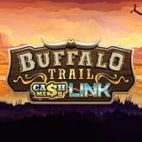 Buffalo Trail - Cash Mesh LINK