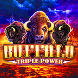 Buffalo Triple Power