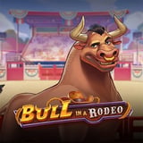 Bull in a Rodeo
